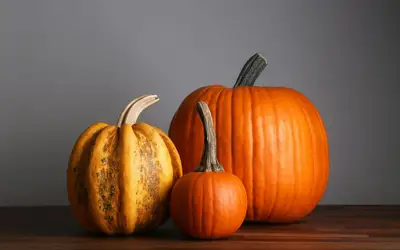 Setting a Wider Table: Meaningful Ways to Give Back This Thanksgiving Across Oakville
