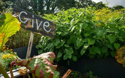 Innovate Today, Nourish Tomorrow: Reimagining Food Security Across Oakville