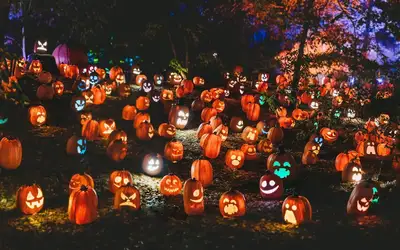 Spooktacular Ways to Give Back: Celebrating Halloween 2026 in Oakville