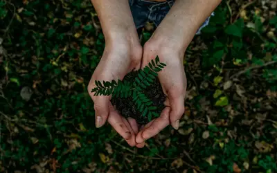 
Image vedette pour Small Steps, Big Impact: Embracing a Sustainable Summer