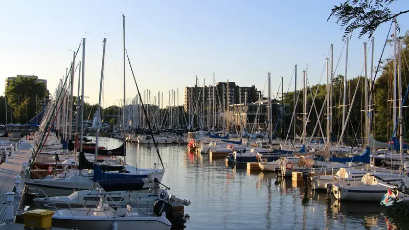 Nonprofit Organizations in Oakville